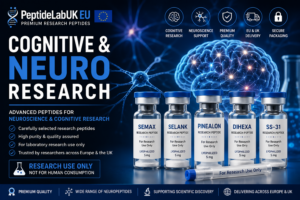 Cognitive & Neuro Research